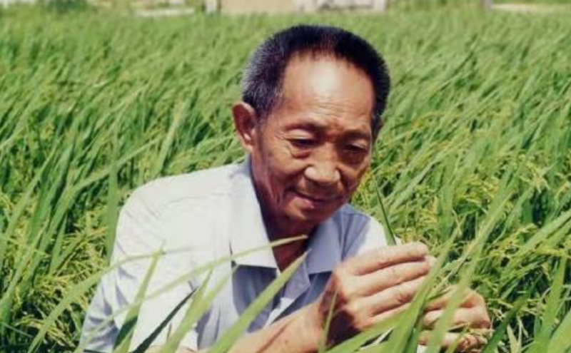 中国农学家袁隆平。（图翻摄自微博）(photo:LTN)