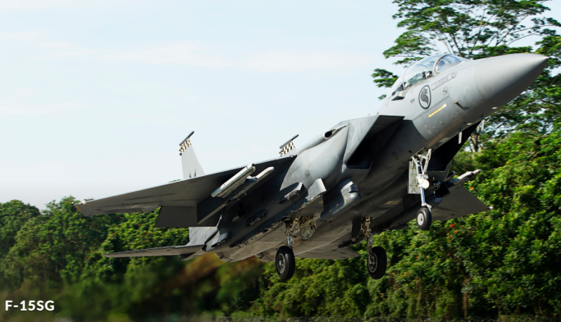 新加坡空军F-15SG战机。（图翻摄自新加坡空军官网）(photo:LTN)