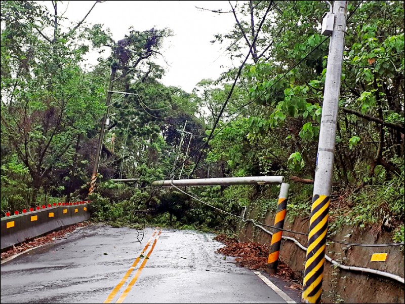 雲林山區降雨路樹傾，雙向交通阻斷。（記者詹士弘翻攝）