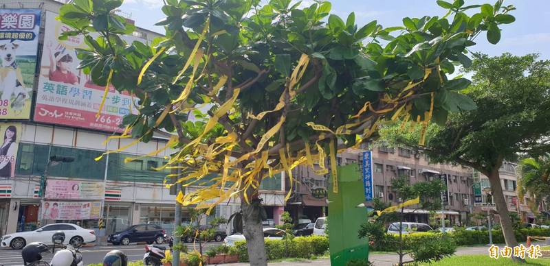 國民黨屏東縣黨部發起掛黃絲帶要疫苗活動。（記者葉永騫攝）