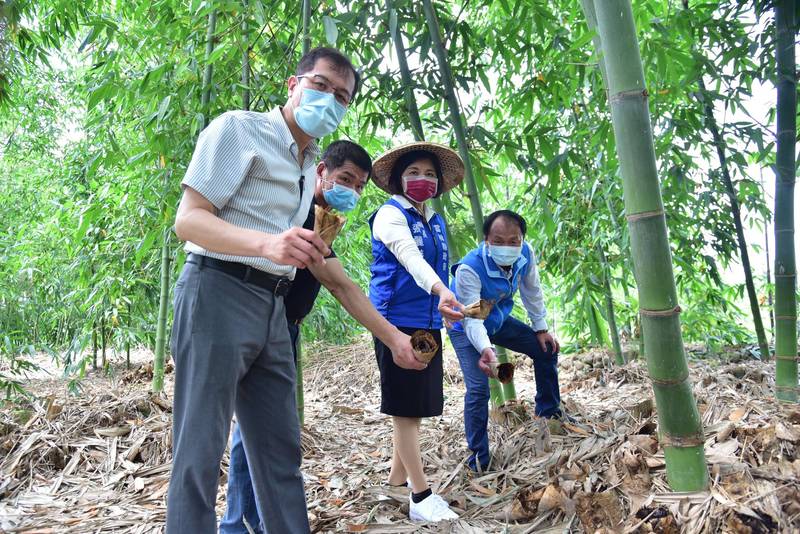 雲林竹筍受損率達逾20%，縣府函請農委會納入天然災害救助。（記者詹士弘翻攝）