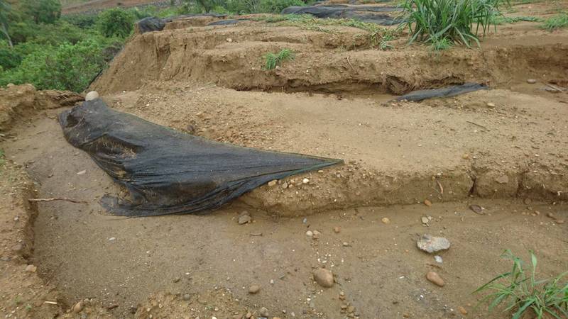 大雨泥流淹水高雄水利局 松埔北巷山坡地違規整地將開罰 生活 自由時報電子報