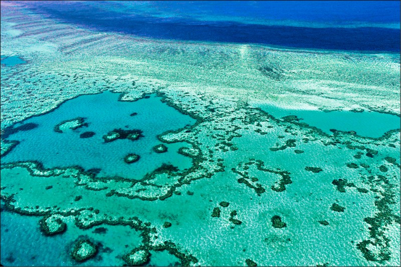 位於澳洲的世界最大最長珊瑚礁群「大堡礁」2014年11月空照影像。（法新社檔案照）