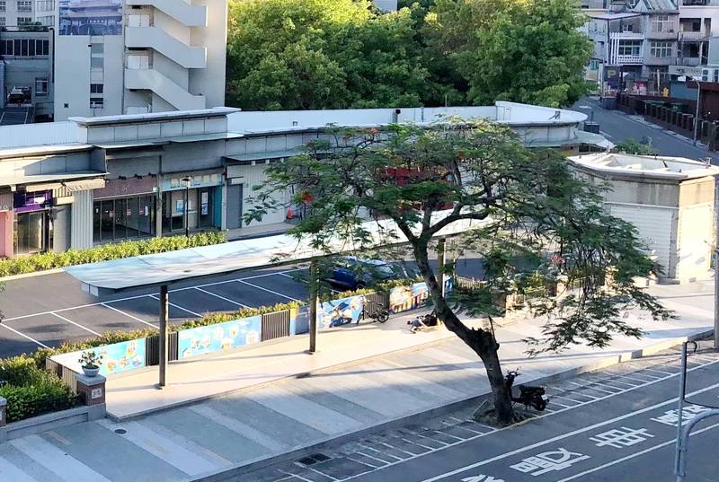 台南市中山路位於台南醫院前的鳳凰樹，為中山路僅存的鳳凰樹行道樹，如今也被砍了。（鄭勝輝提供）