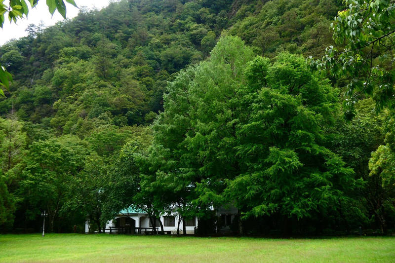 奧萬大綠野山莊和其他住宿房間到7月30日都被訂一空。（南投林管處提供）