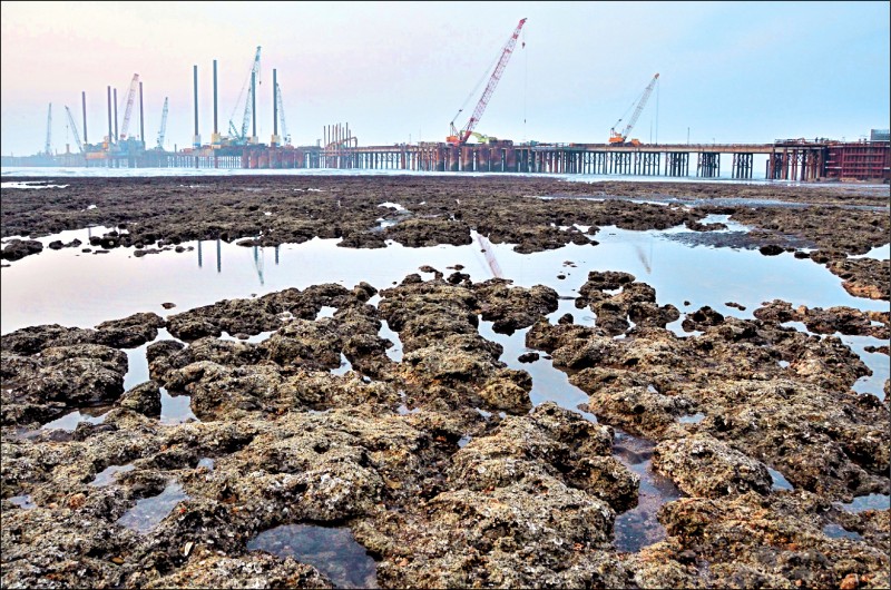 原訂於八月二十八日舉行的「珍愛藻礁」四公投案，因應疫情影響，中選會今將召開委員會審議公投日期是否改期。（資料照）
