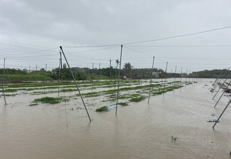 高雄市上個月降下豪大雨，雖及時解除乾旱水情，卻也造成岡山區香瓜、西瓜災損嚴重。（立委邱志偉服務處提供）