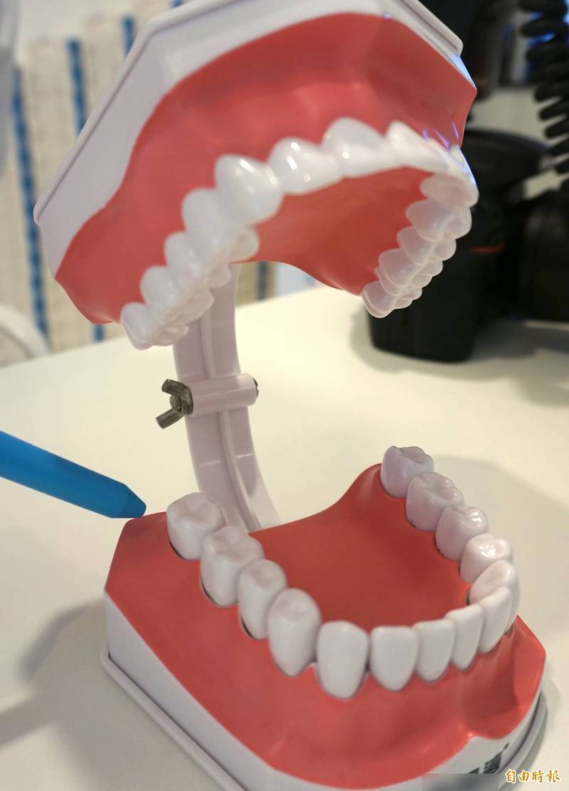 4颗智齿分别长在上下排牙齿左右边的最后一颗牙，难以清洁，容易蛀牙，一般都建议拔除。（资料照）(photo:LTN)