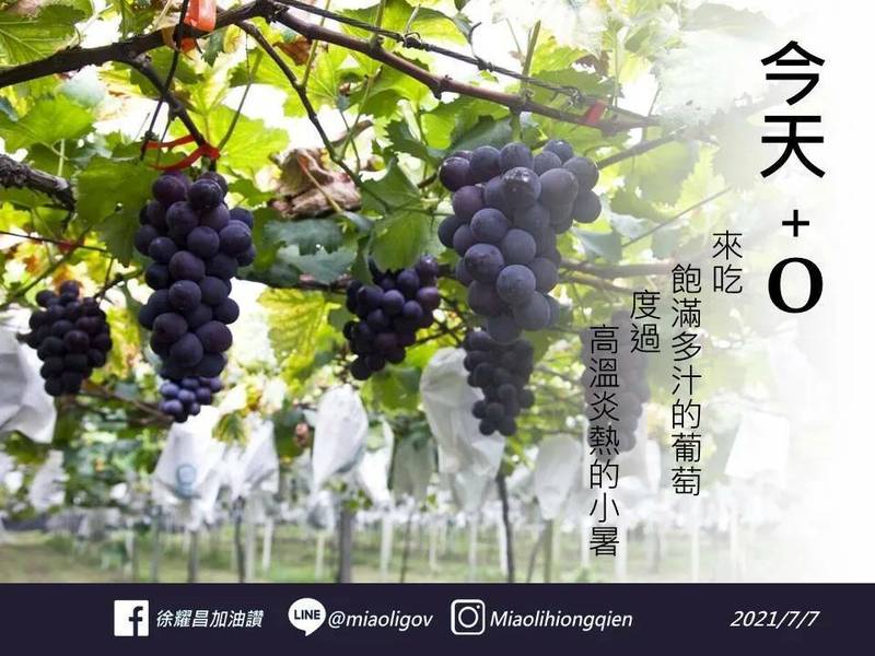 苗縣+0 縣府︰近5萬人接種疫苗 莫德納全數預約完畢 - 生活 - 自由時報電子報