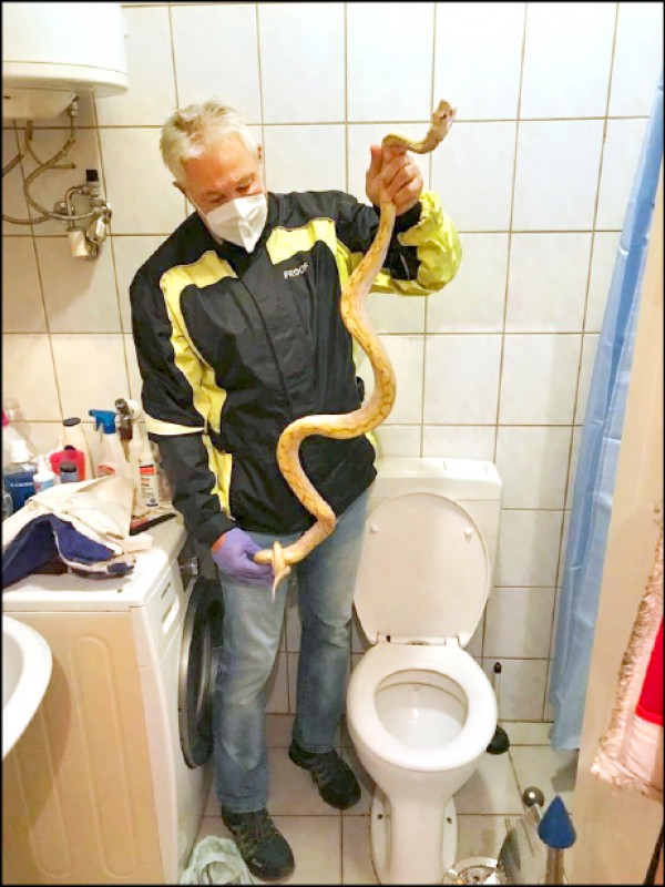 中英對照讀新聞》Man bitten by neighbor’s escaped python in toilet in Austria 男子在奧地利被從鄰居逃脫進馬桶的蟒蛇咬了