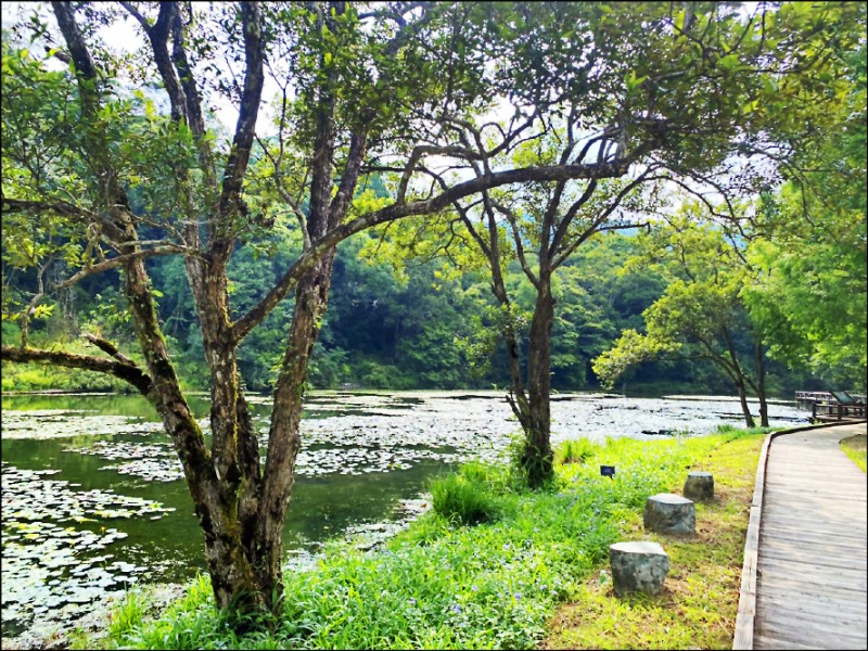 福山植物園休園至二十六日。（福山植物園提供）