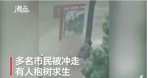 河北武安市，暴雨淹没街道，车辆被激流沖走、翻覆，更有民众自抱树自救。（图撷取自微博）(photo:LTN)