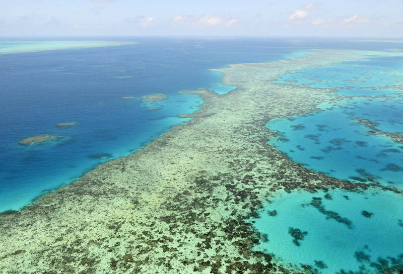 世界遺產委員會上月建議，澳洲最知名的旅遊景點、世界最大最長珊瑚礁群「大堡礁」應列入「瀕危」世界遺產名單。（美聯社）