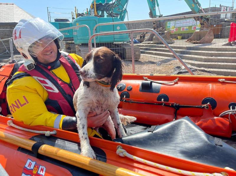 史賓格犬奧利在海上迷路3小時後，順利被救回。（圖取自Porthcawl RNLI官網）