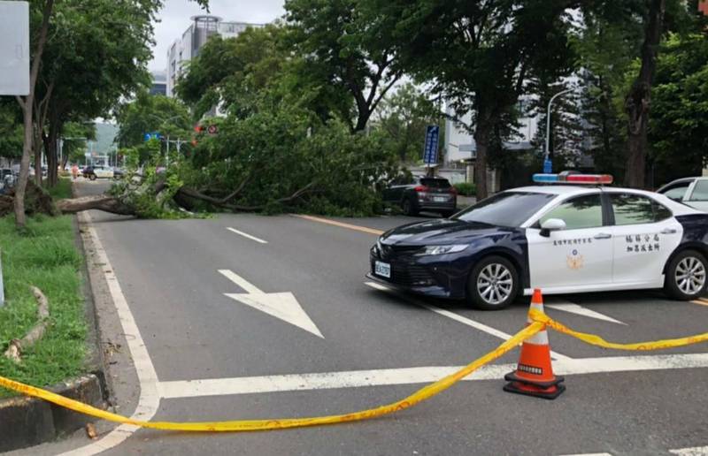 中颱烟花颳8級強風 楠梓加工區旁路樹傾倒擋道 - 社會 - Vimarsana News