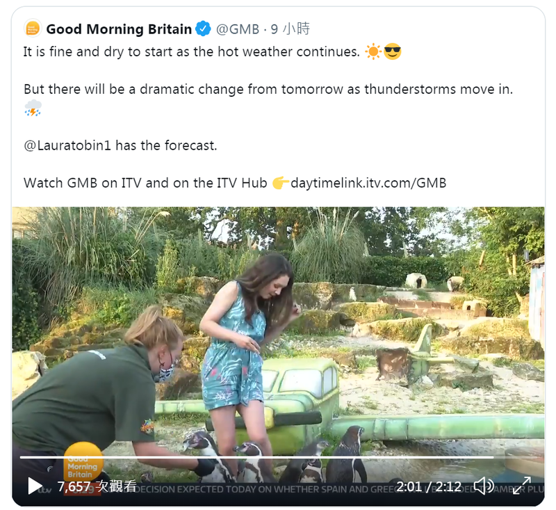 英國獨立電視台（ITV）晨間節目「早安英國」的氣象主播托賓（圖右）今（22）日站在1群企鵝間，直播當地的天氣預報，然而卻被腳邊的企鵝咬了一下，讓她當場嚇了一跳。（圖擷取自「早安英國」推特）