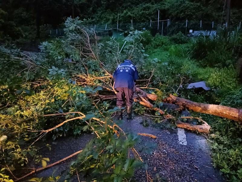 颱風烟花造成新竹縣尖石鄉新樂村的上水田道路一度被倒塌的路樹影響交通，幸為查報災情的派出所員警排除。（圖由警方提供）