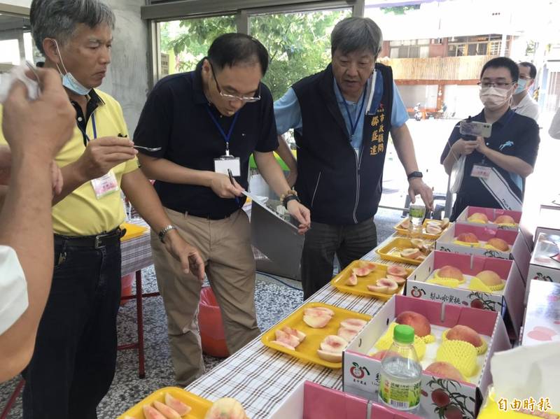 和平區農會舉辦台中市水蜜桃評鑑。（記者歐素美攝）