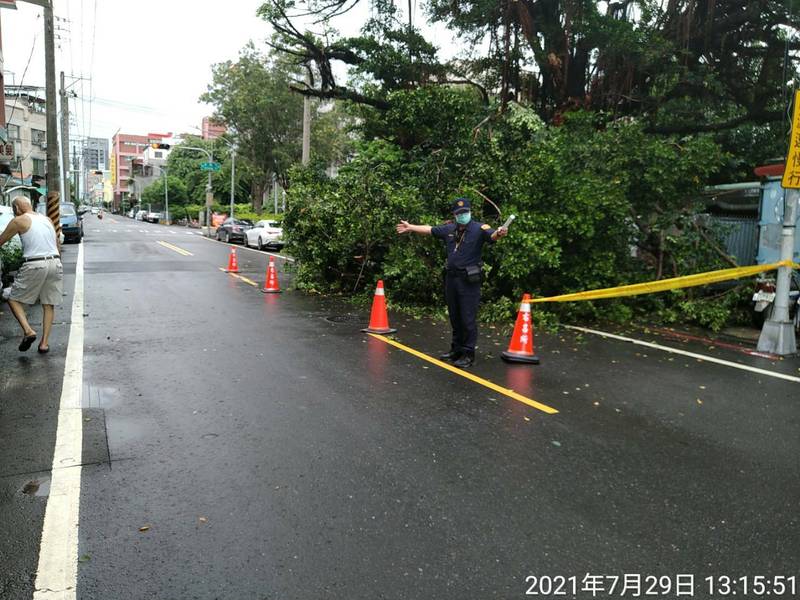 高雄市楠梓區藍昌路43號對面300餘年老榕樹倒塌。（讀者提供）