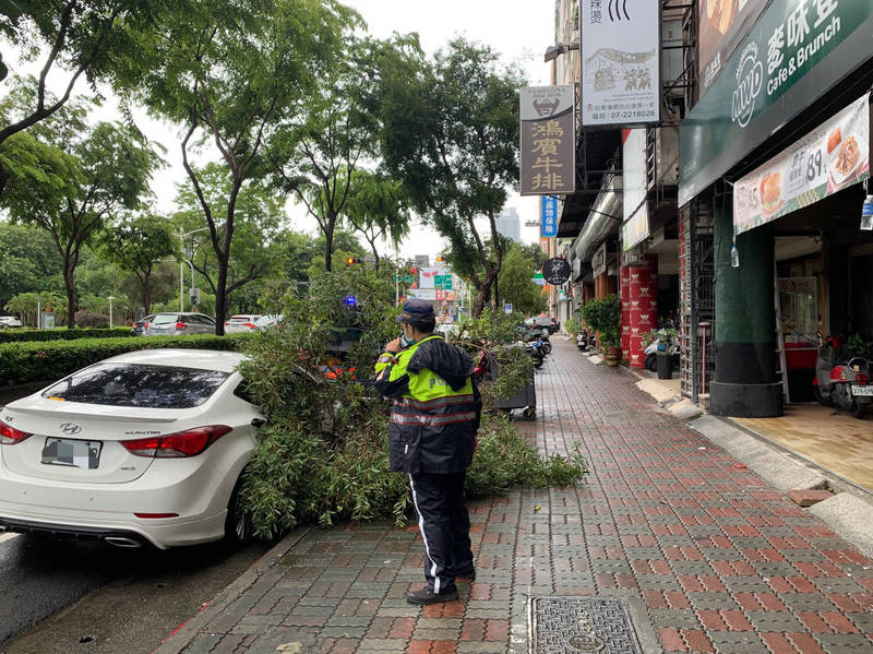 高雄地區豪大雨路樹倒塌砸中汽車，車內幸無乘客逃過一劫。（民眾提供）