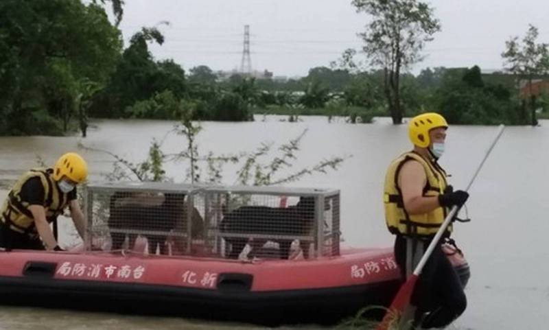 新化一處私人狗場淹水，經消防局以橡皮艇救出48隻狗狗至善化動物之家安置。（南市府提供）