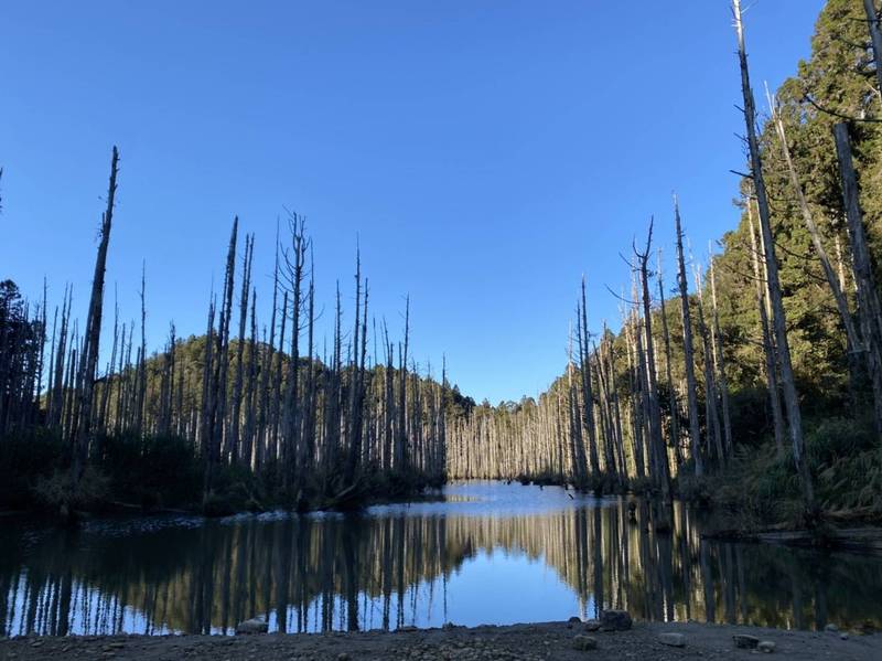水漾森林迷途情侶平安獲救。(讀者提供) 水漾森林迷途情侶平安獲救。(讀者提供)