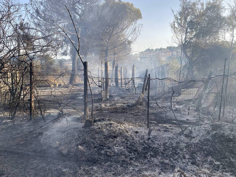 意大利佩斯卡拉（Pescara）的「Pineta Dannunziana」自然保護區，近日遭野火，導致至少5人受傷。（歐新社）