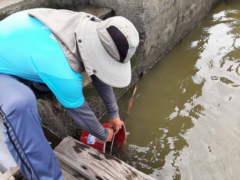 新竹縣新豐鄉昨天有場魚苗放流活動，希望幫助當地的海洋復育生態，也間接增加漁民收益。（圖由縣府提供）