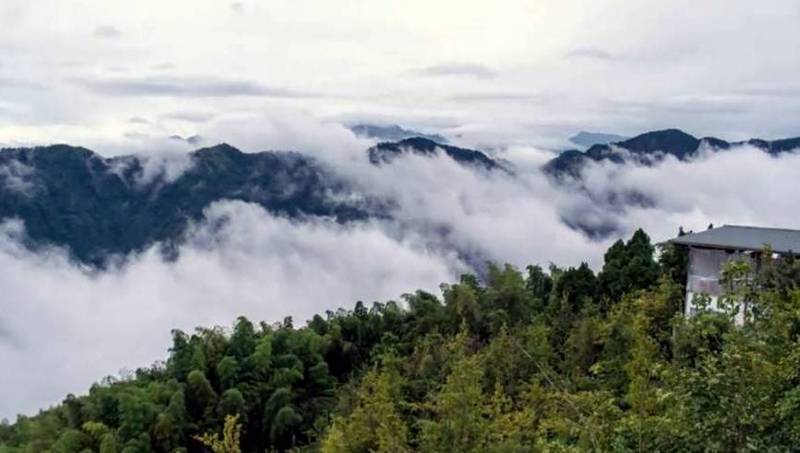 南投縣鹿谷鄉大崙山驚見雲霧層層疊疊的「雲海秀」奇景。（林建興提供）