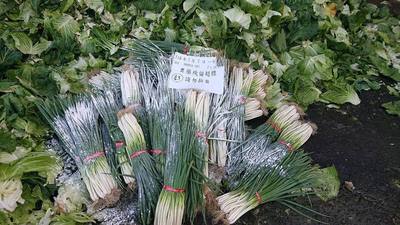 台北農產公司7月抽驗1123件蔬果產品，共有60件不符規定，總銷毀量計7815公斤，以青蔥、萵苣菜、甜椒為主。（台北市政府提供）