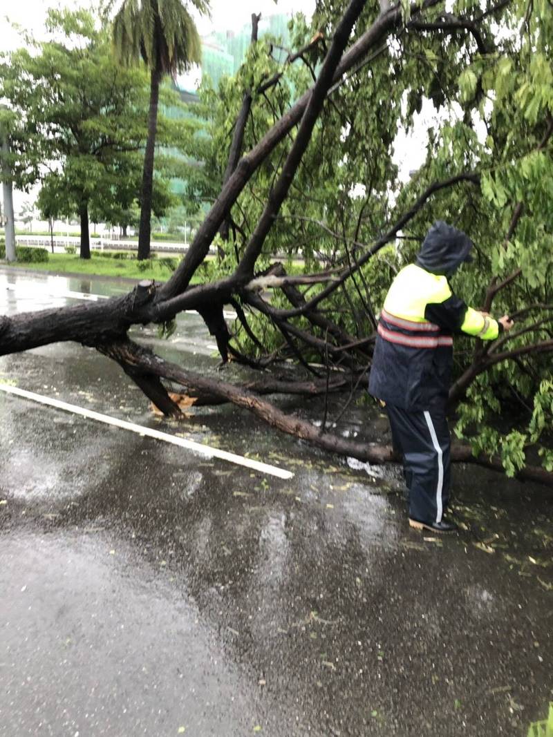 高雄風雨交加似颱風過境市區路樹倒塌擋車道 生活 自由時報電子報