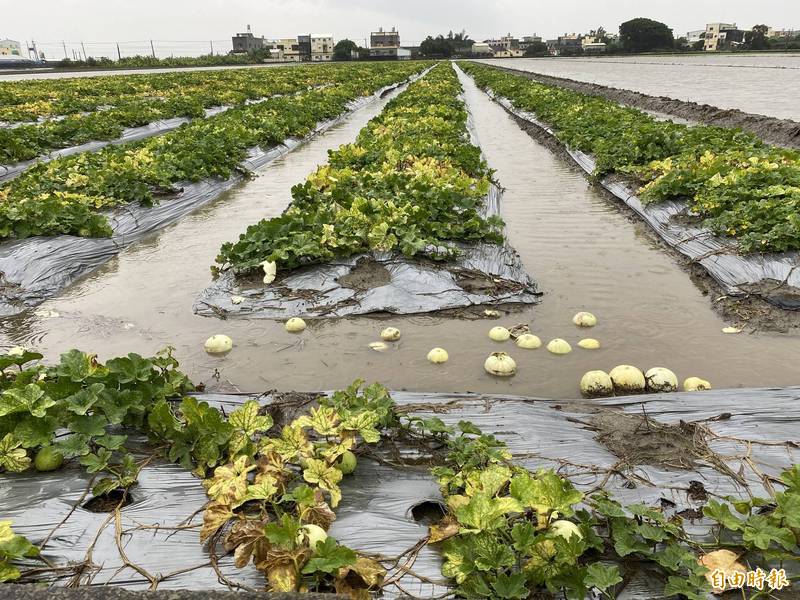 受豪雨影響，我國農損迄今已超過1.5億元，農委會主委陳吉仲表示將大幅簡化天災救助程序，不須再由鄉政區公所人員到農地現場勘災，改由氣象雨量等科學數據認定，只要確認申請救助金的農民確實有種該作物即可。（資料照）