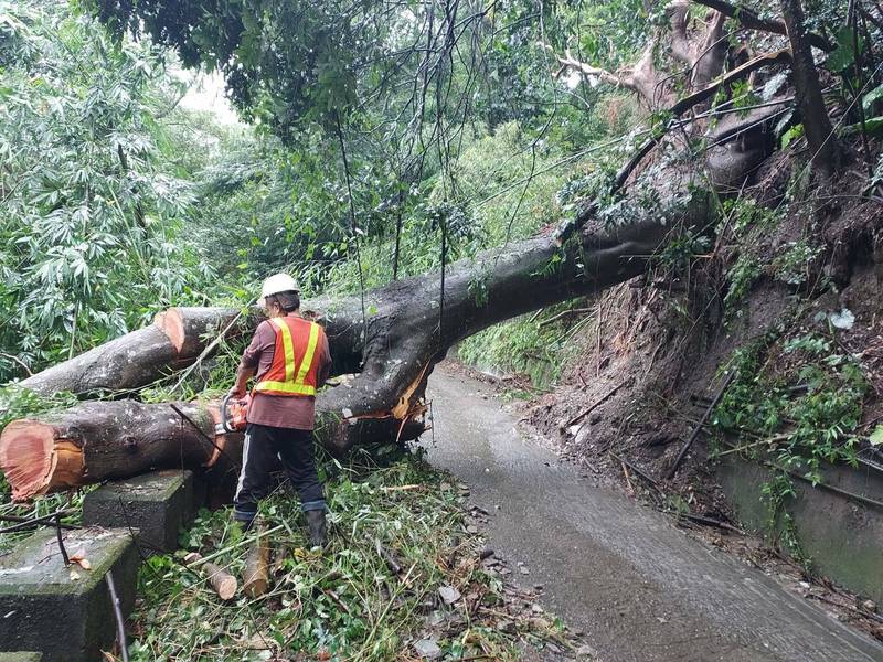 大雨強襲南投山區，信義鄉多處村落道路坍方受阻，公所緊急派工搶通，聯外道路已大致恢復正常。（信義鄉公所提供）