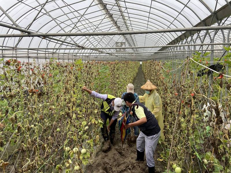 農委會主委陳吉仲到嘉義縣太保市勘查溫室時不慎跌倒，褲子沾了不少泥土。（民眾提供）