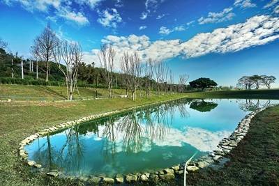 新北市樹林區河濱公園旁的「沐心池」，已成人氣打卡點。（圖由新北市政府提供）