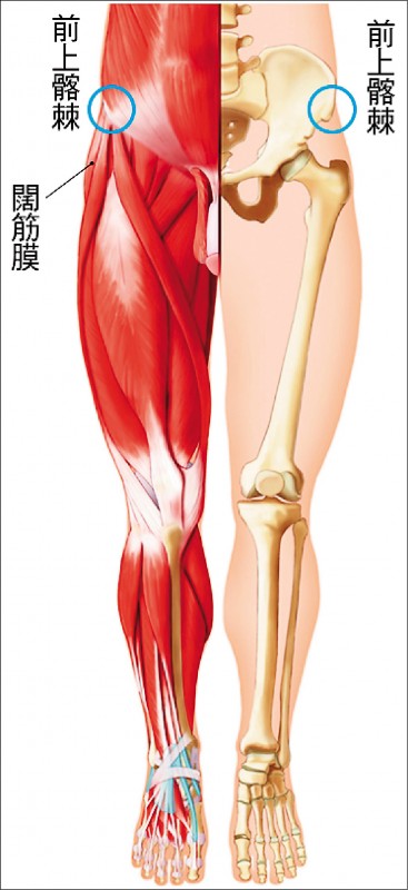 手插口袋大腿無感感異性股痛作怪 即時新聞 自由健康網