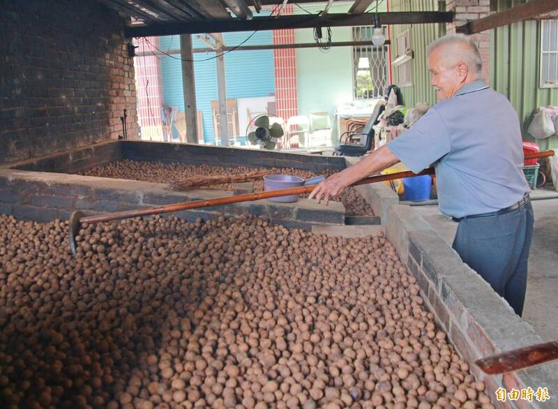 83歲農民賴清吉烘焙龍眼乾經驗超過70年，今年遇上蟲害跟猴害，差點無龍眼可烘。（記者陳冠備攝）