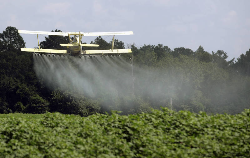 美国环保署日宣布，将禁止常用于蔬果、谷物作物的杀虫剂农药「陶斯松」（chlorpyrifos）用于粮食作物。喷晒农药示意图。（美联档案照）(photo:LTN)