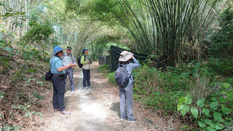 國家森林志工對台南六甲保安林棲地巡守。（王昶欣提供）