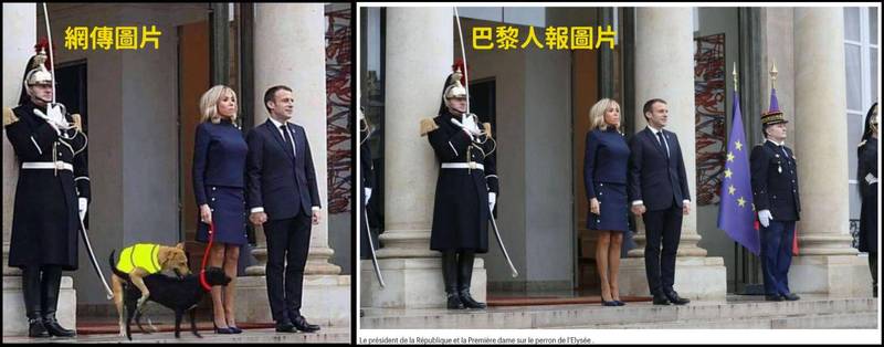 網傳一則訊息指稱，法國侍衛長完蛋了，並搭配一張內容為兩隻狗在法國總統馬克宏旁邊交配的圖片，MyGoPen表示，該圖片經過後製竄改。（圖片擷取自查核平台「MyGoPen」）