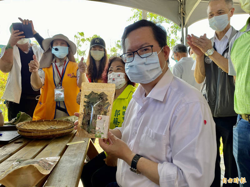 桃園市長鄭文燦今前往觀音區蓮花園休閒園區體驗剪荷葉片DIY，並分裝成包將對外販售。（記者魏瑾筠攝）