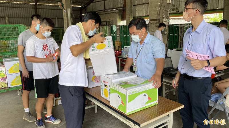 台南郵局服務柚農和一般民眾交寄文旦，在麻豆設兩處交寄處，還有到府服務收件，幫助麻豆文旦產業。（記者楊金城攝）