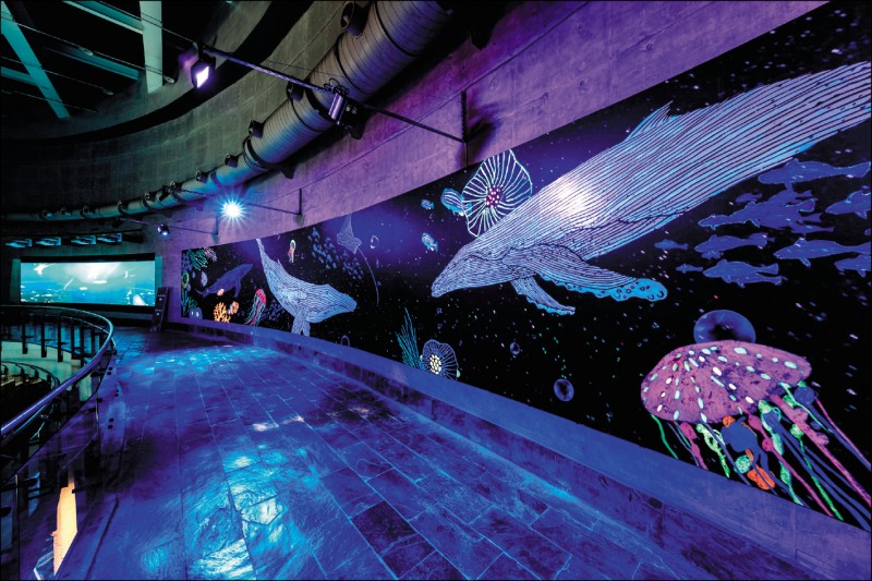 屏東海生館新亮點，推出「與鯨共舞」互動裝置，讓遊客體驗與魚兒共遊。（高雄市經發局提供）