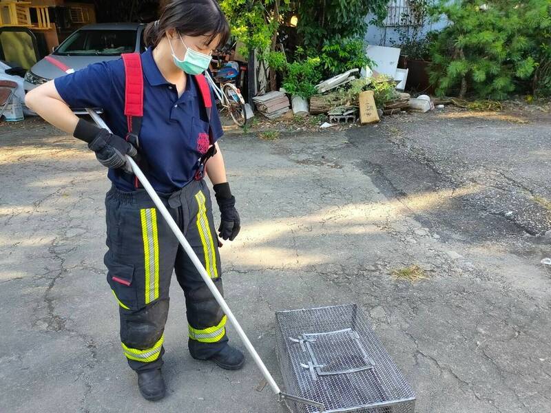 許多外縣市政府陸續把補蜂抓蛇的業務回歸農業處，花蓮縣自今天起原由消防隊執行的補蜂抓蛇業務由委外廠商處理。（花蓮縣消防局提供）