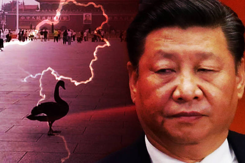 习近平今年初发表谈话时，特别提到要做好应对「灰犀牛」、「黑天鹅」事件的准备，没想到本月5日，一只「黑天鹅」真的飞到北京天安门广场，引起中国网友热议。（本报合成图）(photo:LTN)