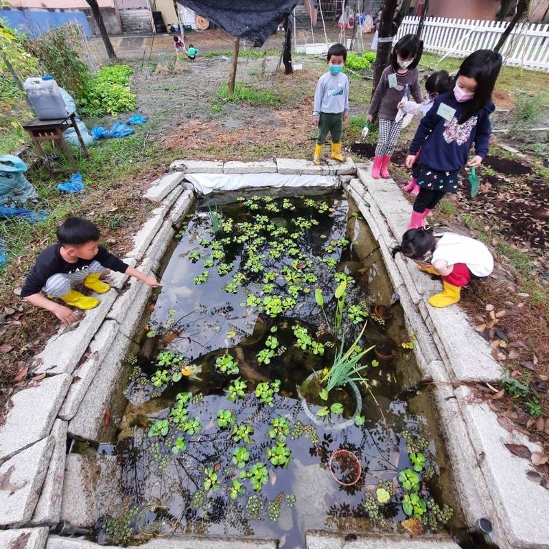 建國實小原來的生態池。（建國實小提供）