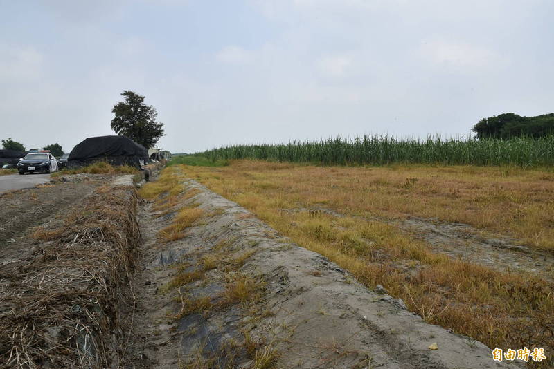 水利署在褒忠鄉有才村示範在地滯洪，將現在農地加高田梗，遇大雨時可增加滯水量。（記者黃淑莉攝）