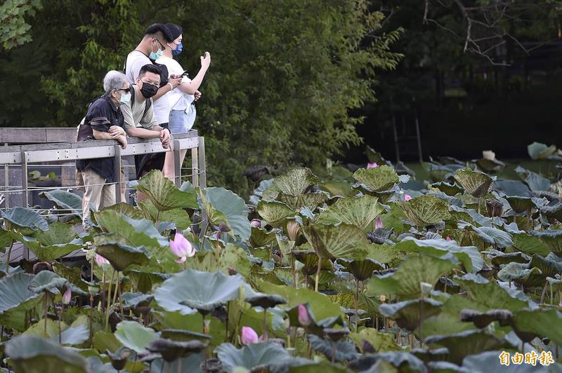 中央氣象局指出，今天（16日）大多為多雲到晴的天氣，午後部分地區有雷陣雨。（資料照）