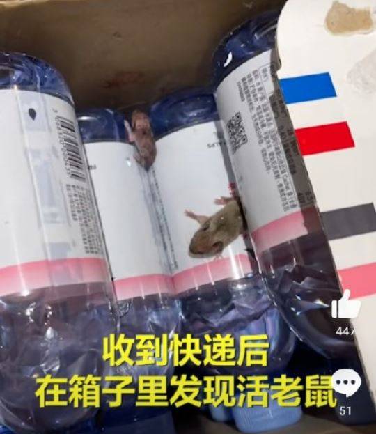 中国天猫超市出包，买水竟送「活鼠数只」，网友崩溃。（图撷取自微博）(photo:LTN)