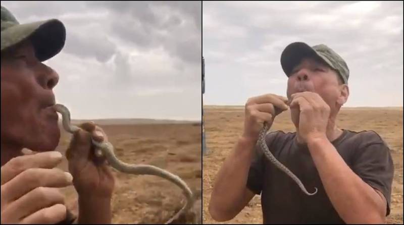 俄国55岁男子22日在农田中找到1条毒蛇，立刻表演吞蛇给友人看，却被毒蛇在口腔内咬中舌头，不治身亡。（图取自影片）(photo:LTN)